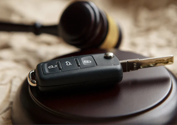 Driver licence appeal case results