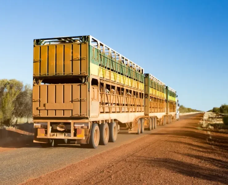 Heavy vehicles on the road in NSW, subject to work diary and logbook rules under the Heavy Vehicle National Law